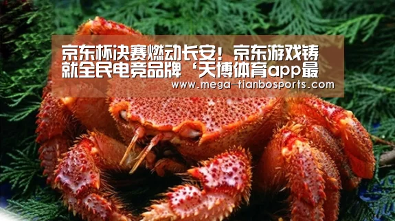 天博娱乐